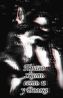 Право жить есть и у Волка 