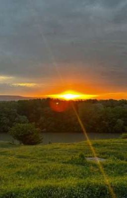 Школьный секрет..