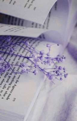 Париж с запахом лаванды