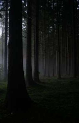 Заброшенный замок