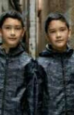 Кошмары Близнецов 