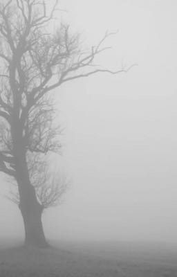 Башня Упущения. 