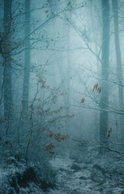 Говард Лавкрафт Филипс ~ Изгой