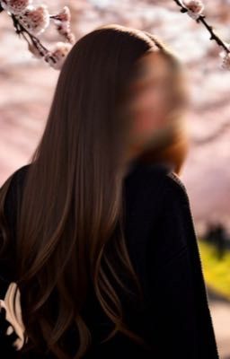 Свет сакуры в лучах рассвета