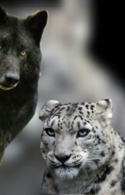 Мир Животных : Защитники