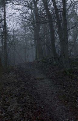 спасение из леса крипипасты