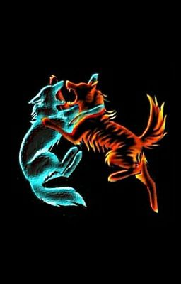 Академия Оборотней 