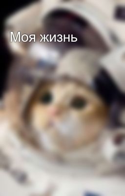 Моя жизнь
