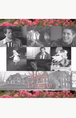 Убежище безумцев