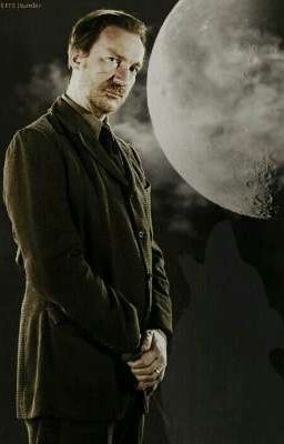 Двадцать три