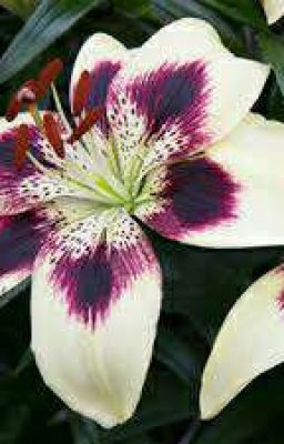 Жизнь не справедливая штука