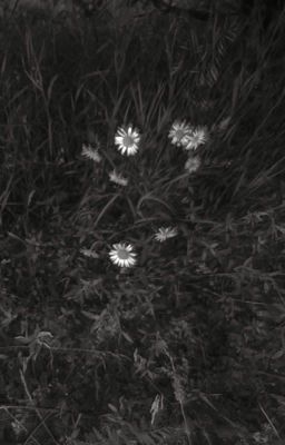 poems of a worthless poet