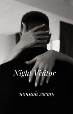 ночной гость