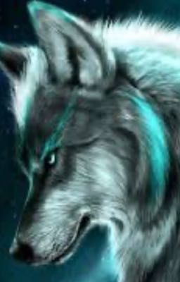 Золушка для волка