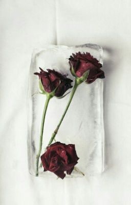 Вечность начинается со Смерти