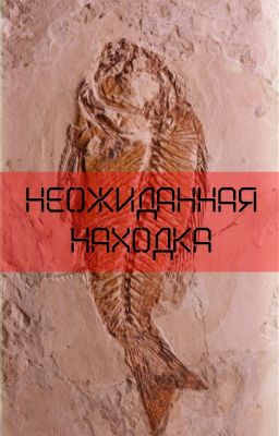 Неожиданная находка