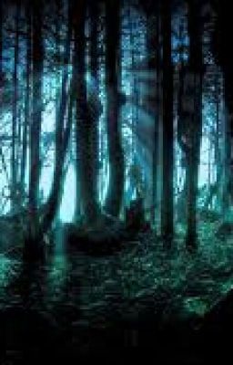 По ту сторону изгороди