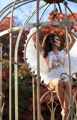 птица в клетке 