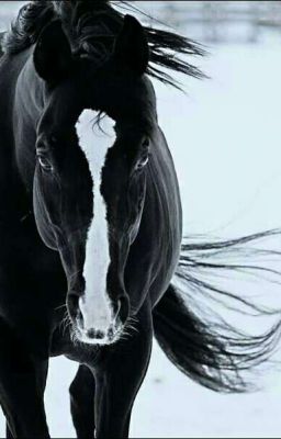 Приключения Лены и её друзей.