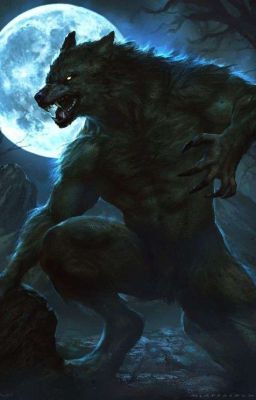 Бегущий в ночи