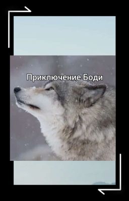 Приключения Боди