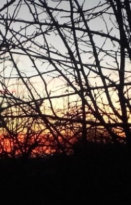 Мы больше не друзья.