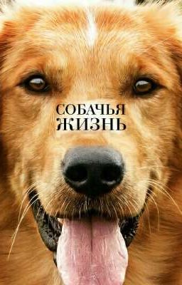 Собачья жизнь
