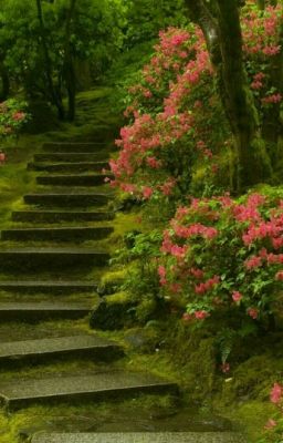 Академия магии. Жизнь продолжается