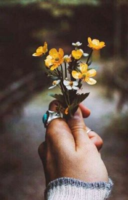 Цытаты и статусы.