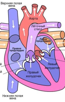 Что-то по эре мародёров 