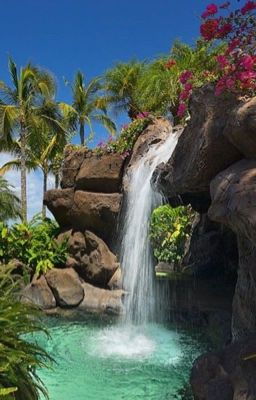 Золотая тишина/Golden silence