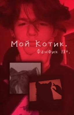 Мой Котик | ~ 🐾