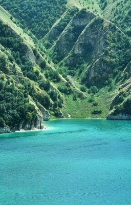 Кавказская жизнь