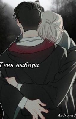 Тень выбора