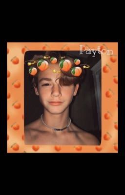 ЛАГЕРЬ🥵. *Законченно*