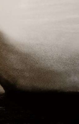 Цитаты и ещё раз цитаты.