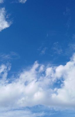 Приключения Рона Хэвиля 