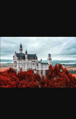 Академия Ведьм- История одной ведьмы 