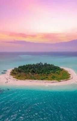 Выбор ценой в жизнь