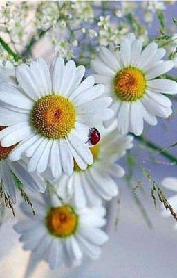 дружба или что-то большие