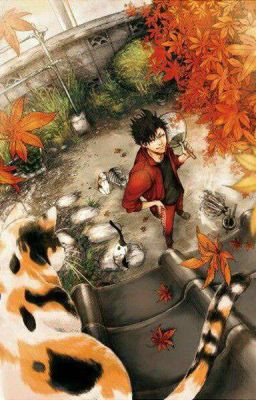 Девушка с дистанционки|Haikyuu Nekoma|