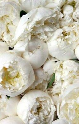 Пиар Книг///Всё взаимно