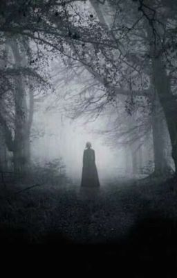 Тур на лето❤