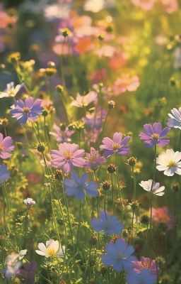 Арты. Часть 2