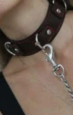 Я-Твоя собственость