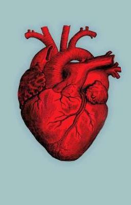 Тексты песен из моего плейлиста 