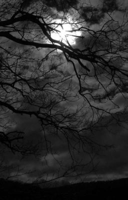 Сумеречные Клыки 