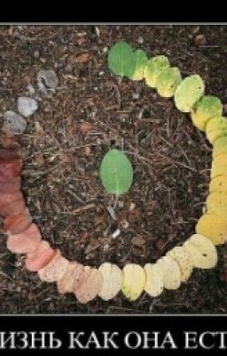Жизнь - сложная штука