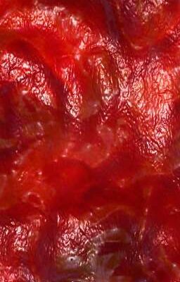 Информация 