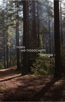 пока не погаснут звезды